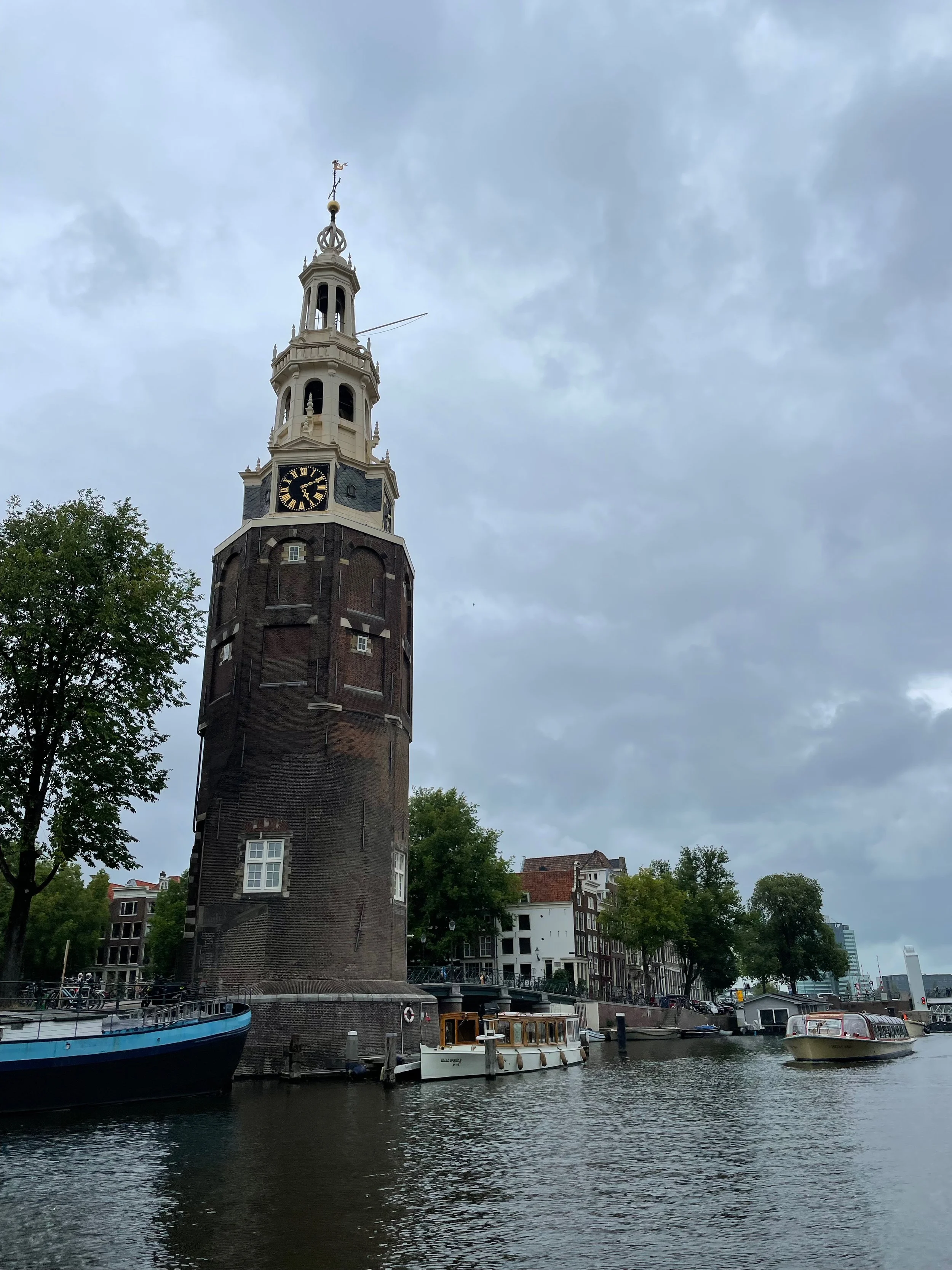 IMG_2973.jpeg
