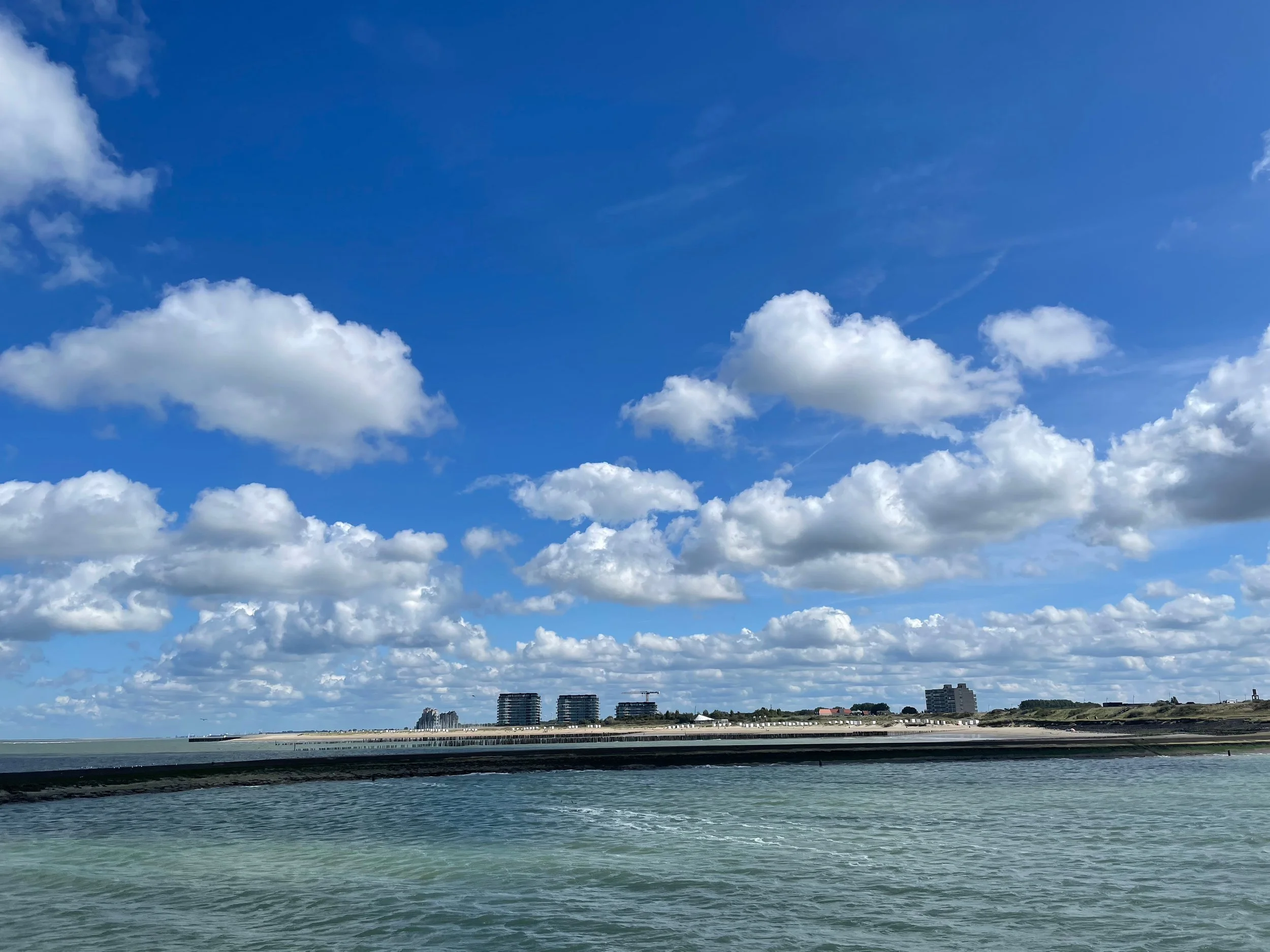 IMG_3109.jpeg