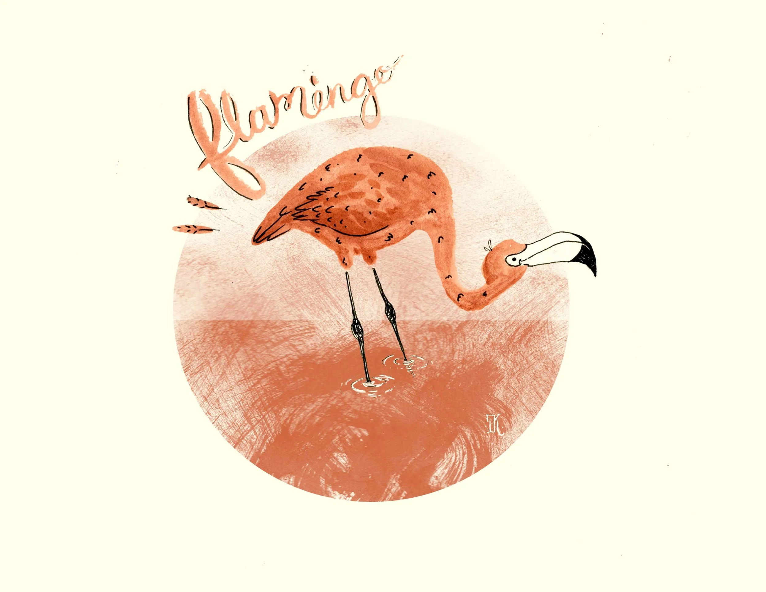 Flamingo.DPI_72.jpg