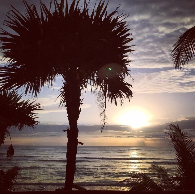 Good Morning! This was Andrea's sunrise view from her room in Tulum.