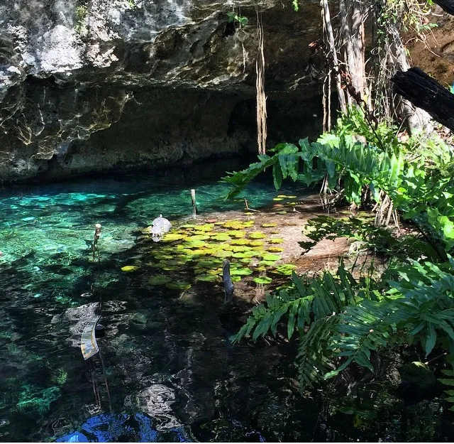To relax and unwind while in Mexico, Andrea took a beach cruiser bike ride and dipped into the refreshing waters at Gran Cenote in Tulum.