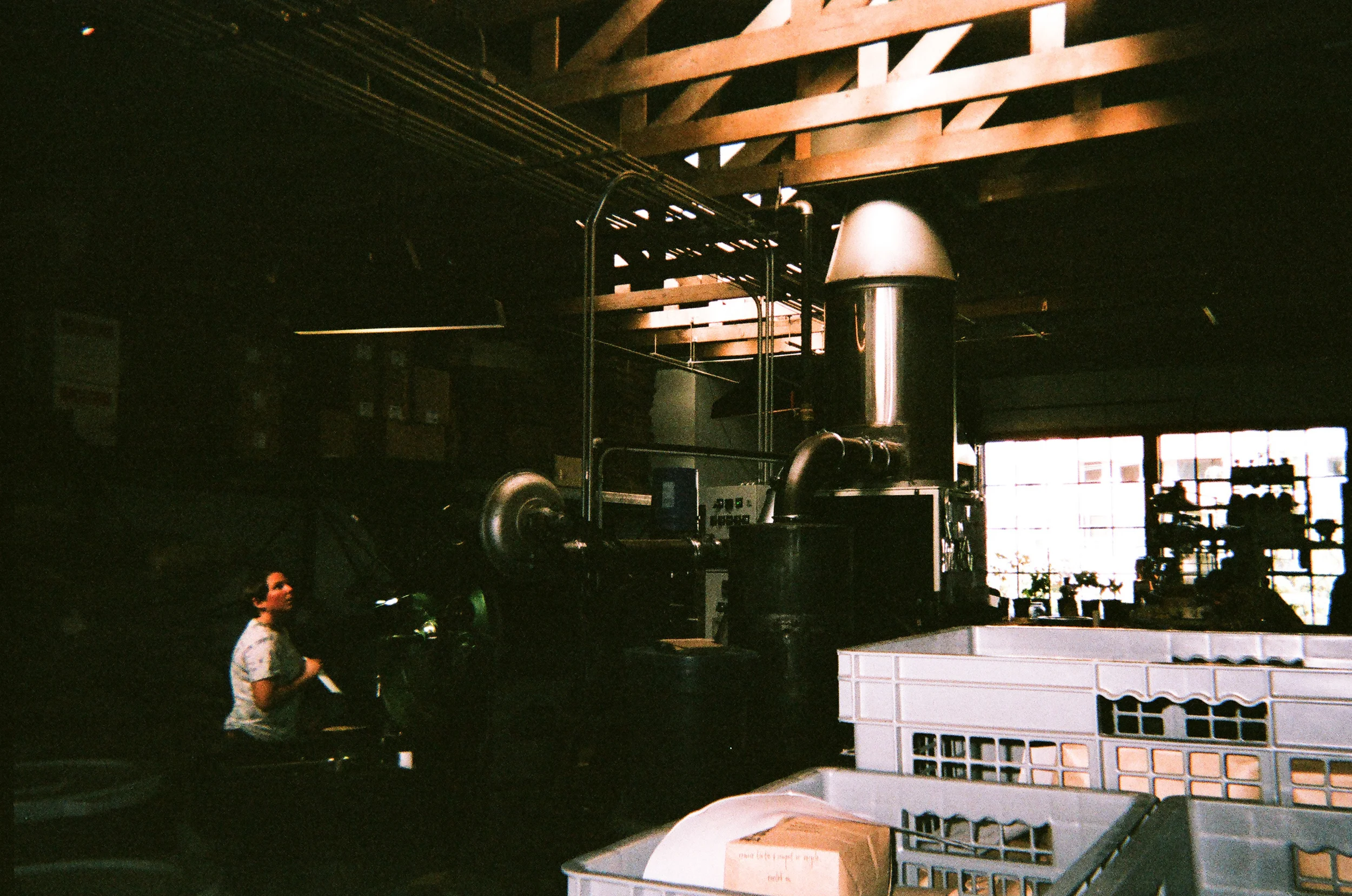Film_November2 (87 of 111).jpg