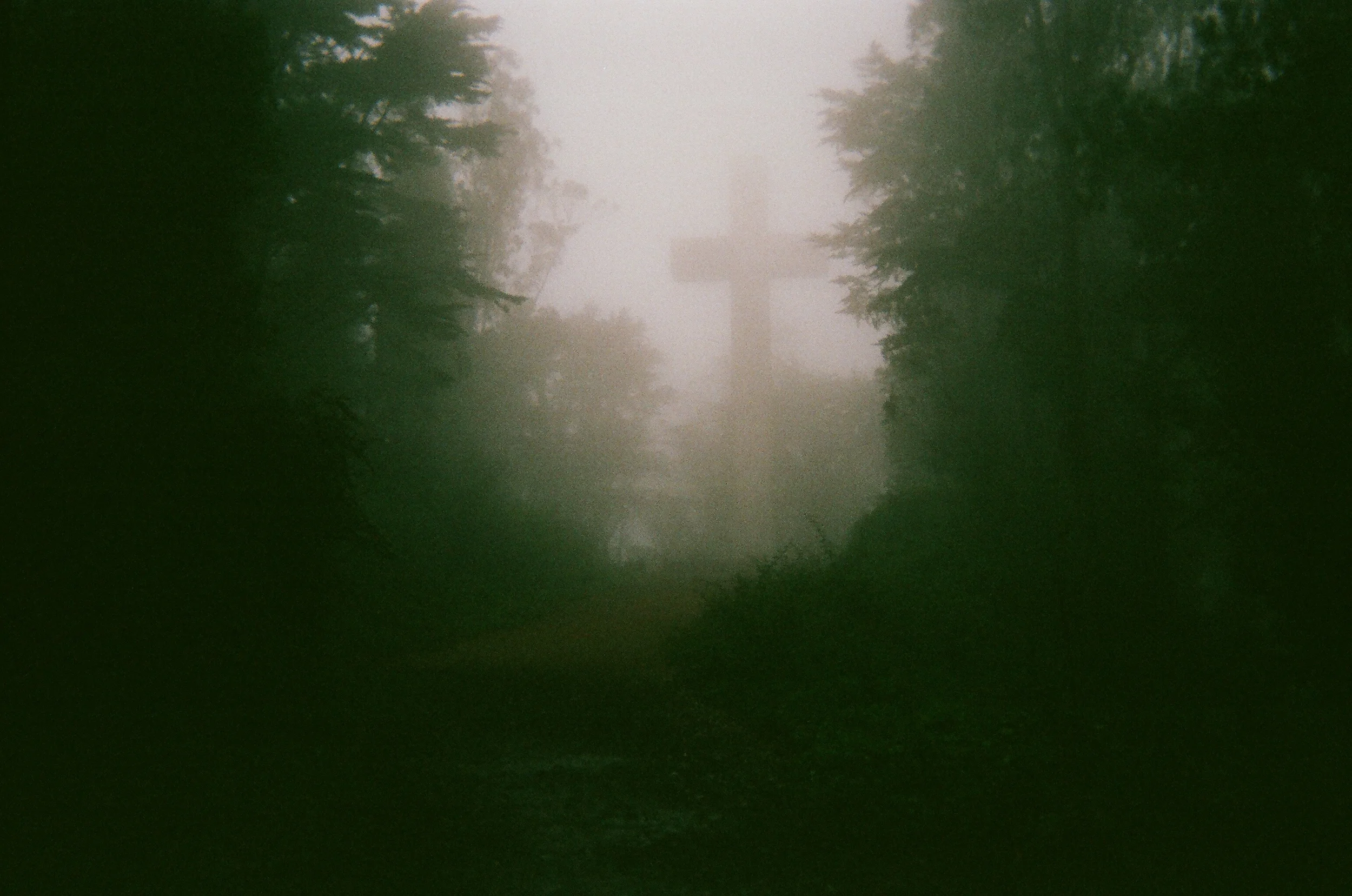 Film_November2 (46 of 111).jpg
