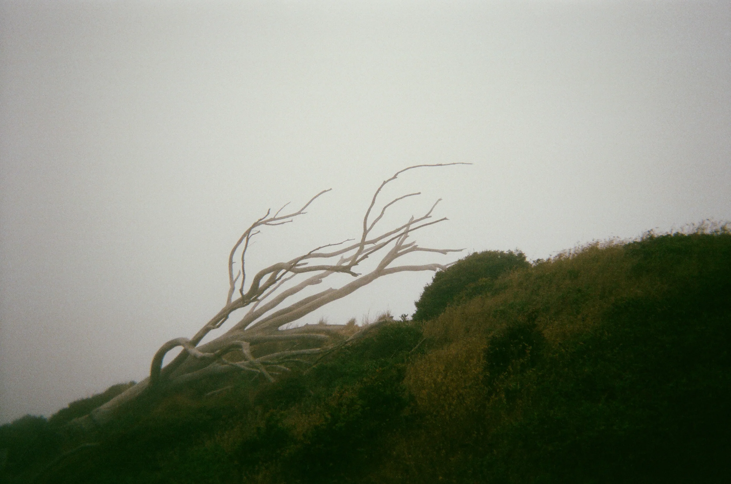 Film_November2 (44 of 111).jpg