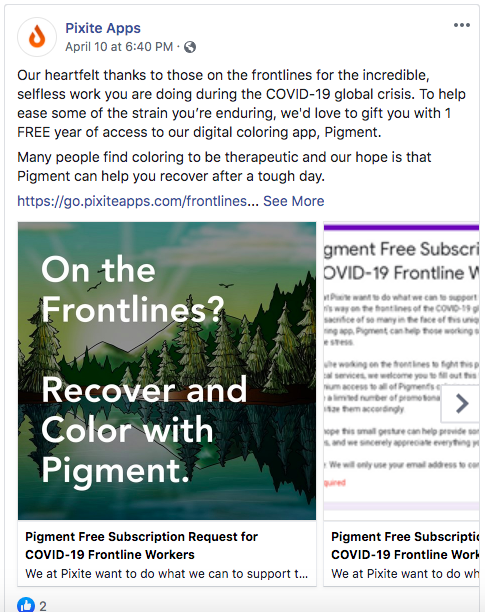 Pixite Facebook Ad Pigment for healthcare.png
