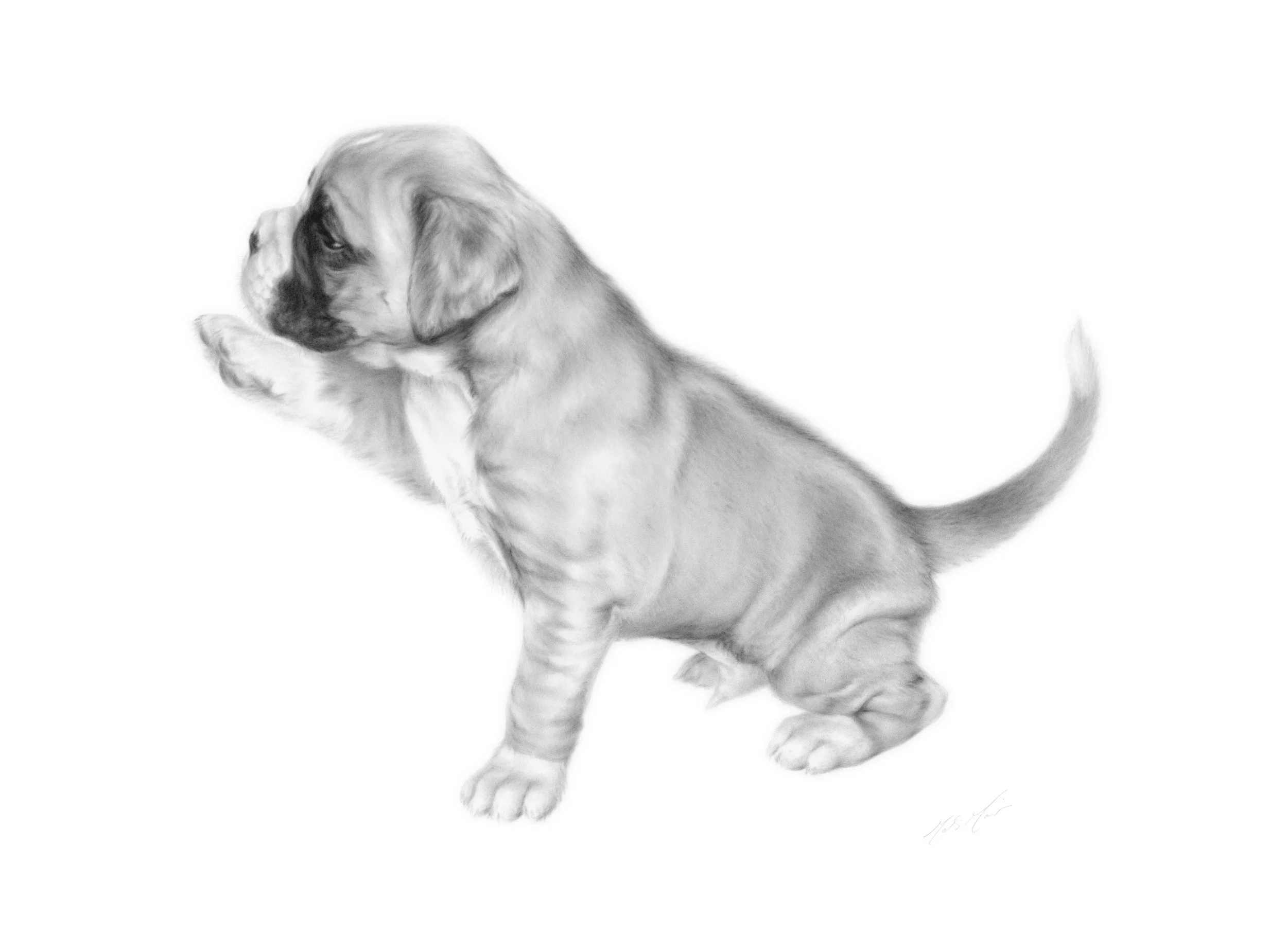 Hello Puppy BAOV-A3-Publsmall.jpg