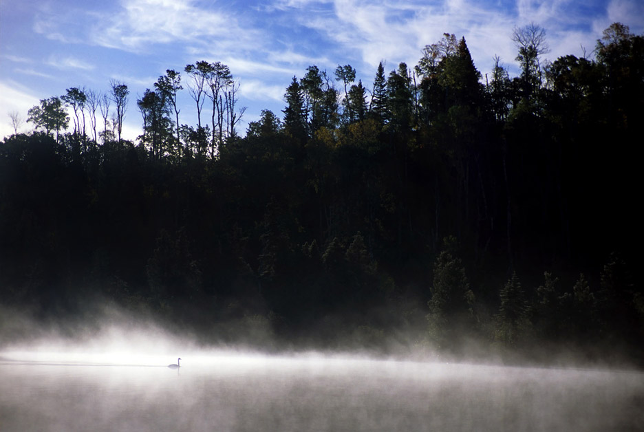 "Swan Song," Isle Royale National Park, Mich.