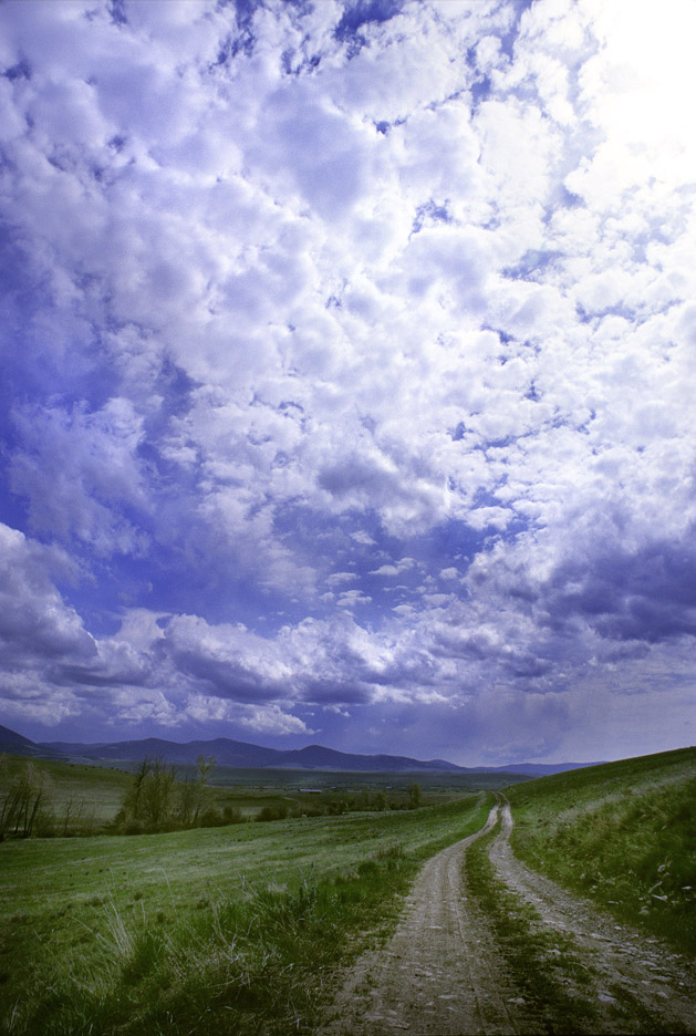 "Rancher's Road," Helmville, Mont.
