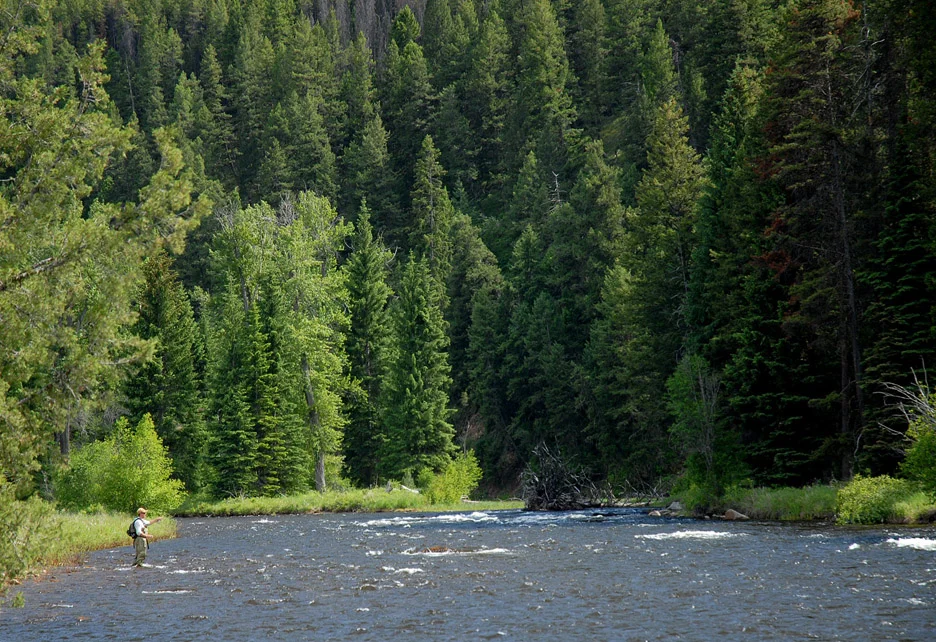 Rock Creek in western Montana offers beauty and outstanding fishing when hatches are at their peak. Rock Creek, 2007
