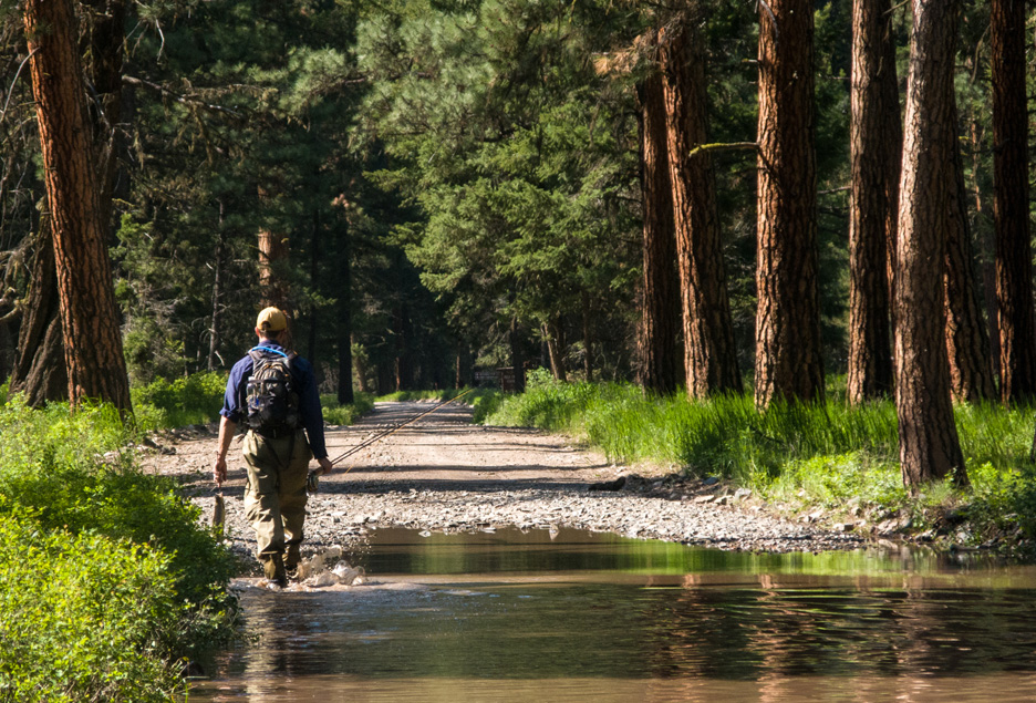  Angler Kurt Ross makes his way back to camp with a couple of trout after a day of fishing&nbsp;as early evening sun paints the forest with its golden light. Rock Creek,&nbsp;2008 
