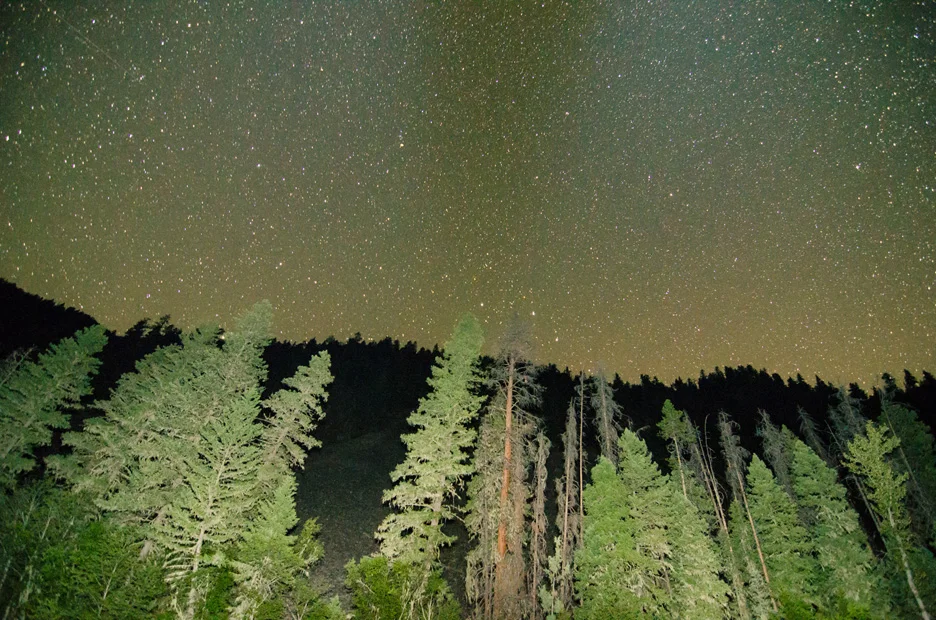  Stars show off above canyon walls as pine trees are illuminated by camera flash on a moonless night on Rock Creek. Rock Creek, 2013 