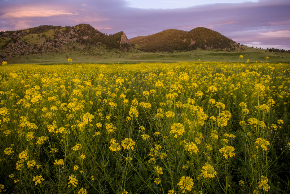  The last light of the day writes its signature in the sky over a farmer's field in the Missouri River Valley. Missouri River, 2008 