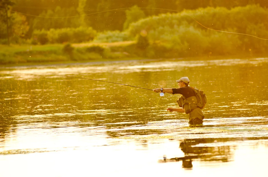  Surrounded by golden light, Kurt Ross casts for brown trout on the Missouri River. Missouri River, 2013 