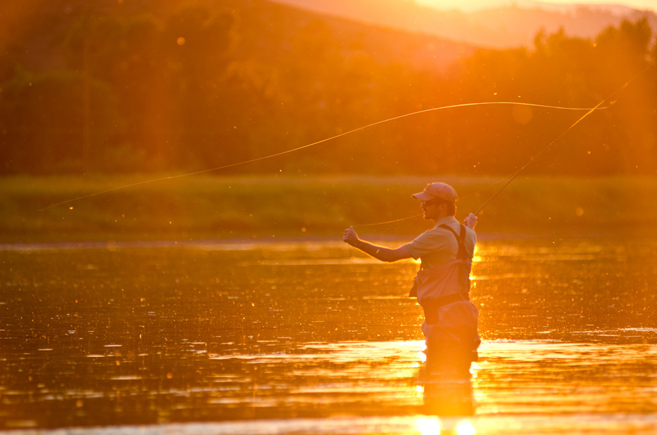  Encompassed by evening Caddis and mayfly activity mingling with the orange and gold hues cast by the descending sun, Nick Erler enjoys a magical evening on the Missouri River. Missouri River, 2013 