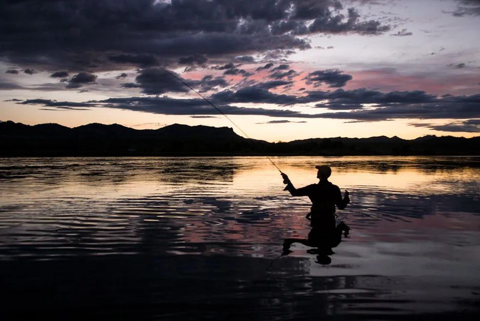  After the sun leaves the sky, fishing becomes spectacular yet challenging on the Missouri River. Using streamers, anglers can catch big brown trout that attack with such force it will scare you if you're not expecting it. Combine that with a moonles