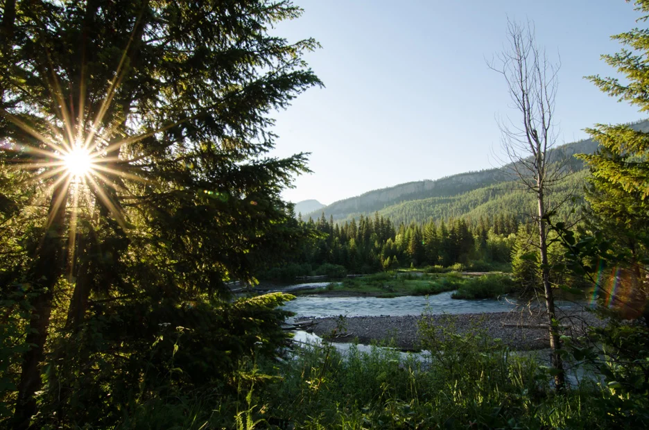  The rising sun peeks through&nbsp;pine trees as it rises above Bunker Creek, a tributary of the South Fork of the Flathead River. Bunker Creek, 2013 