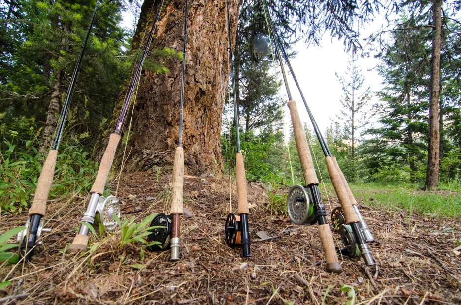  Fly rods lean against a tree in camp after a day of fishing on the South Fork. South Fork of the Flathead River,&nbsp;2013 