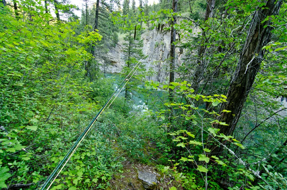  The hike is steep to get down to the banks of the South Fork of the Flathead River in northwestern Montana. In this pristine wilderness, it is not uncommon to see grizzly bears, eagles, and the occasional elk swimming across the powerful river at th