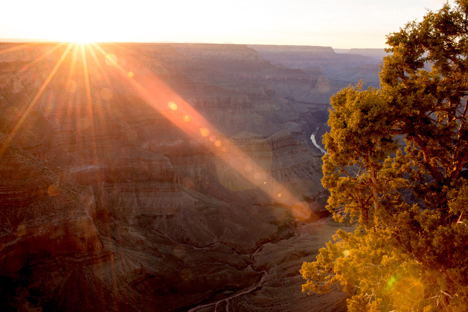 South Rim, Grand Canyon, Ariz.