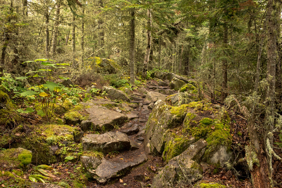 Rock Harbor Trail near Three Mile, Isle Royale National Park, Mich.
