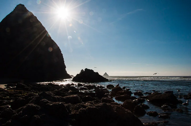 2014_02_oregon-226.jpg