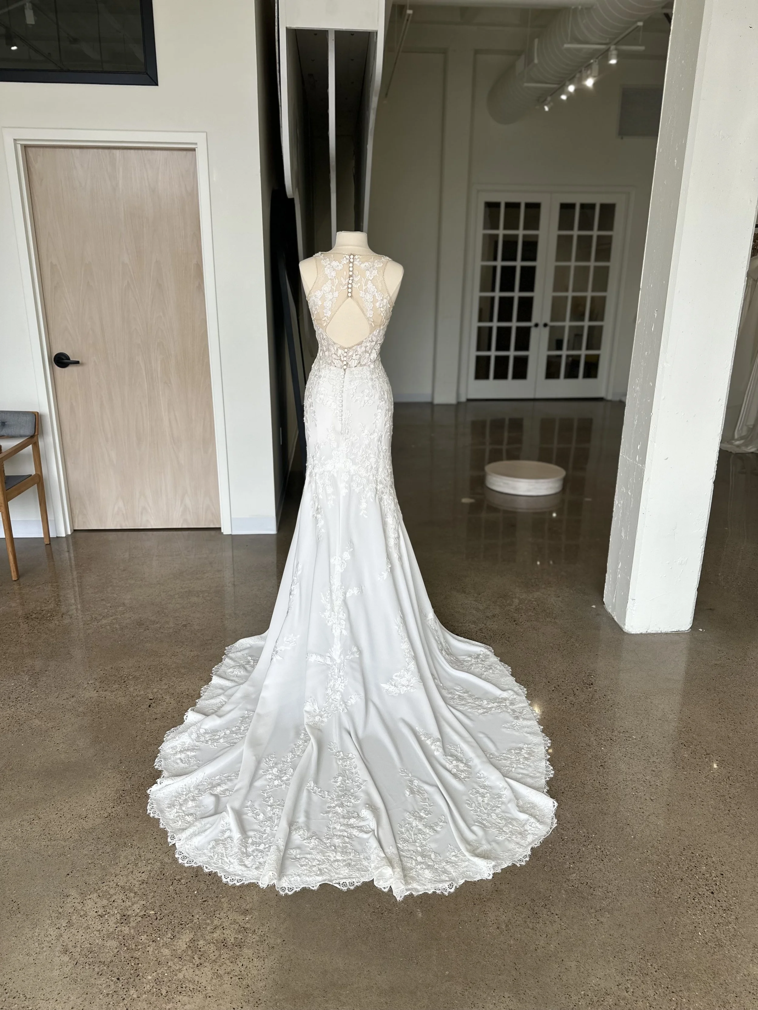 Gown Collezione Pronovias 2017 Pronovias 2017 Lace Back Pronovias - Main Image