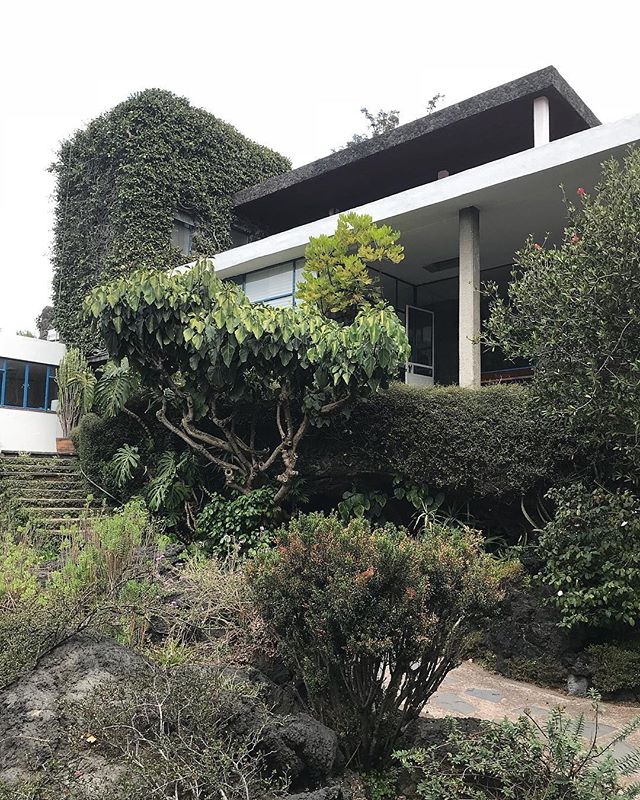 Mexican modernism and the best roof at the Max Cetto Foundation.