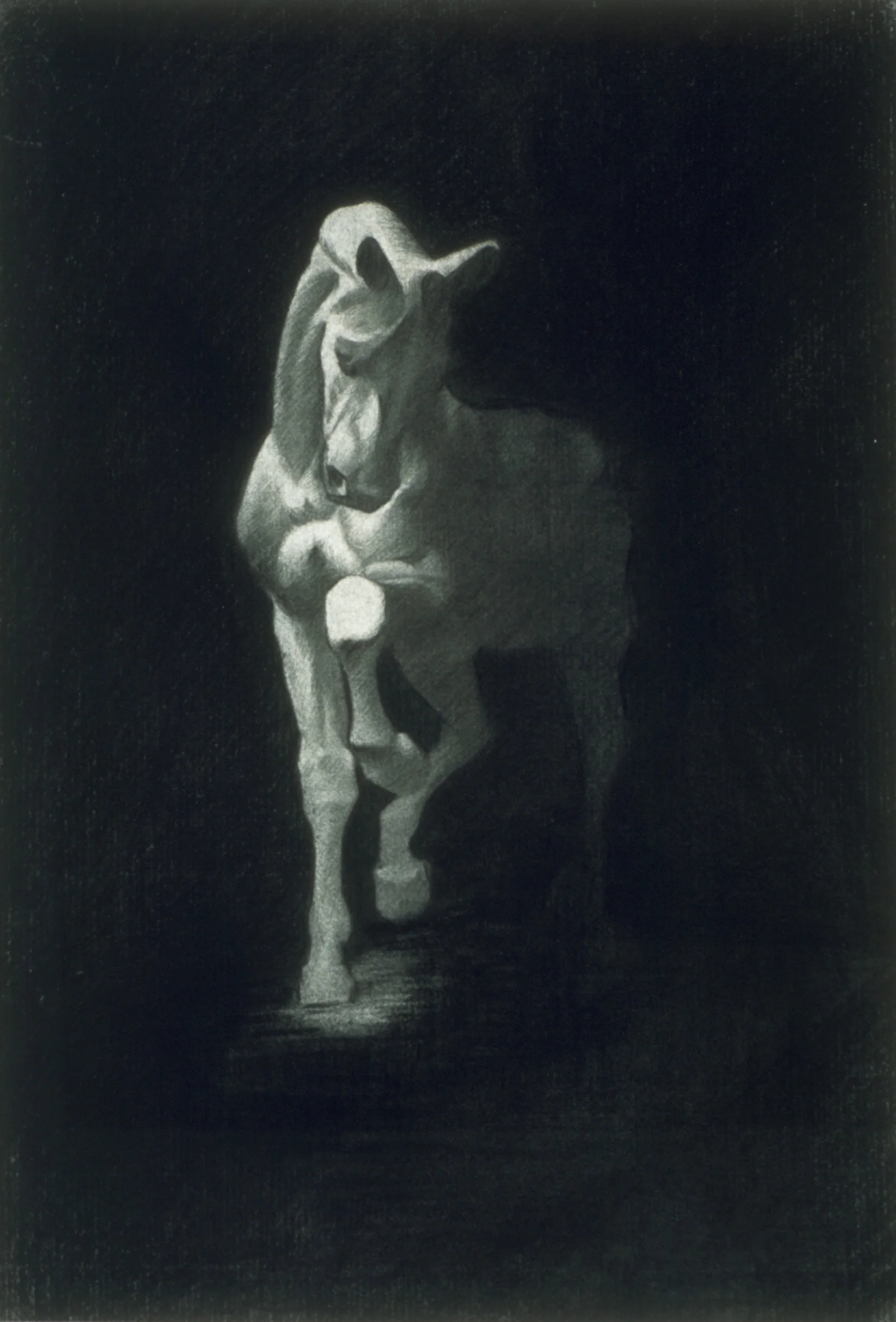Horse, cast drawing
