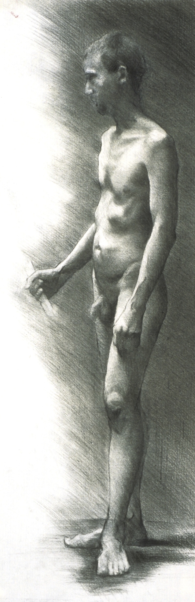 Male Nude, side frontal 