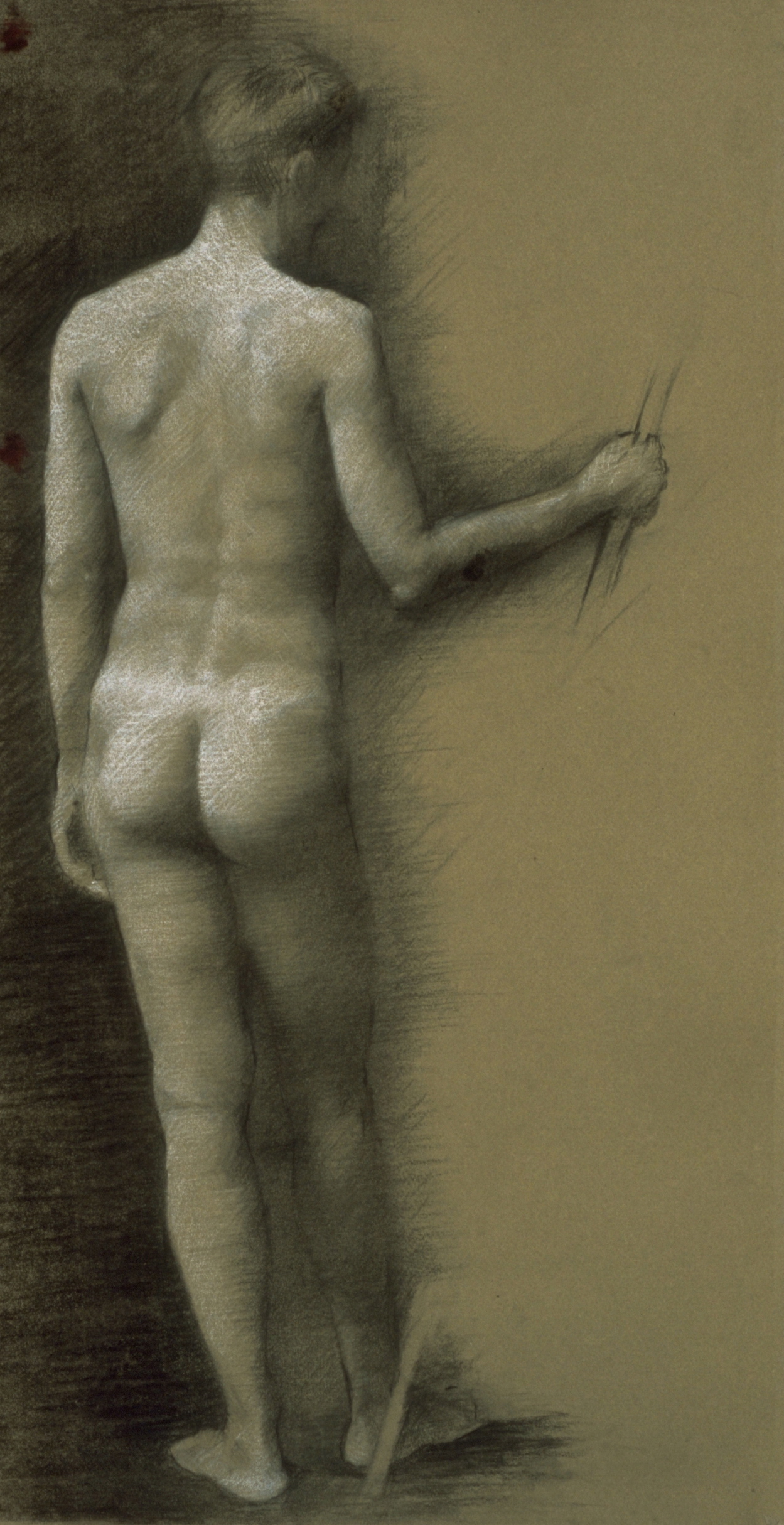 Male Nude, back pose