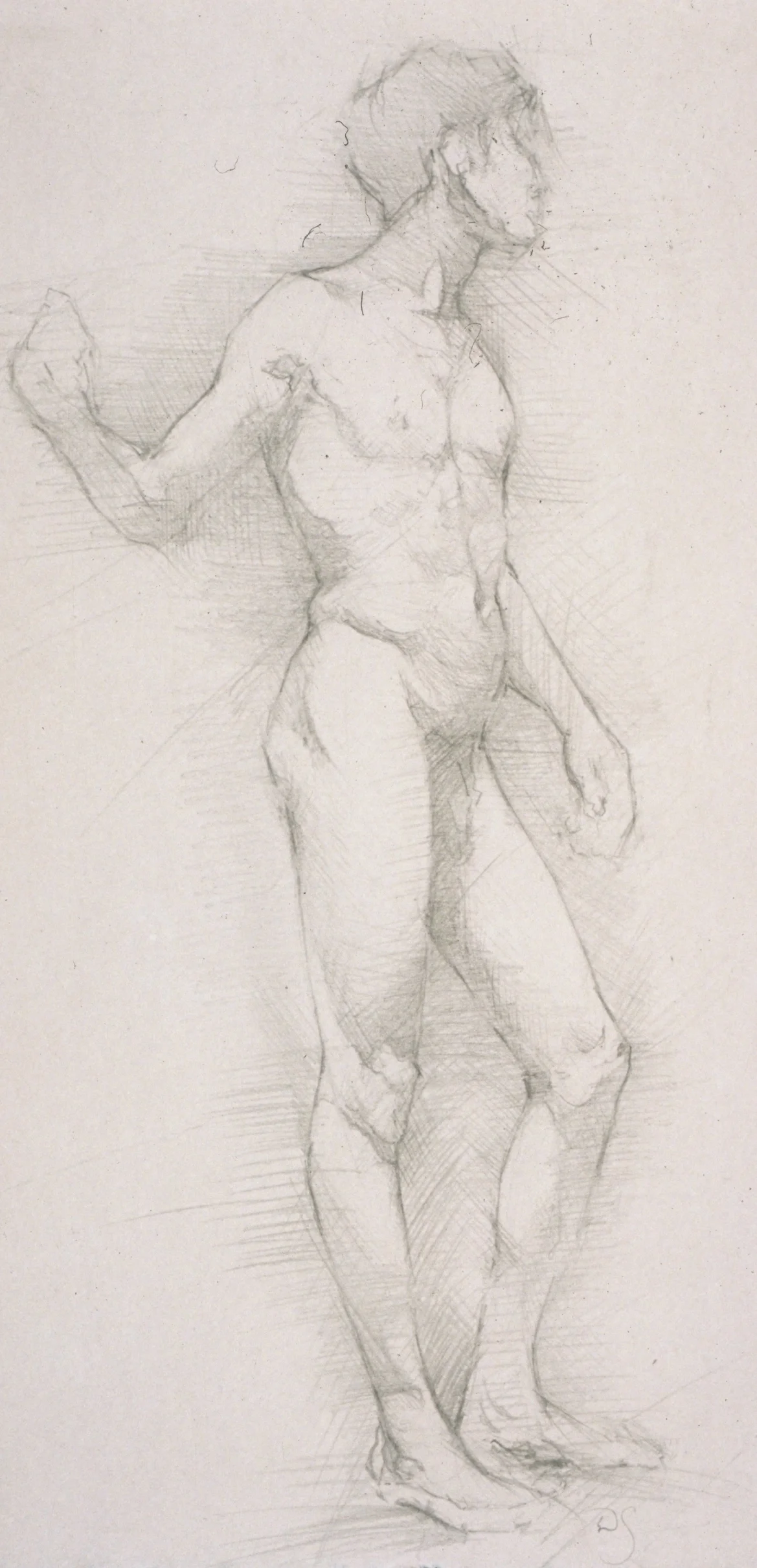 Male Nude, frontal contra posto
