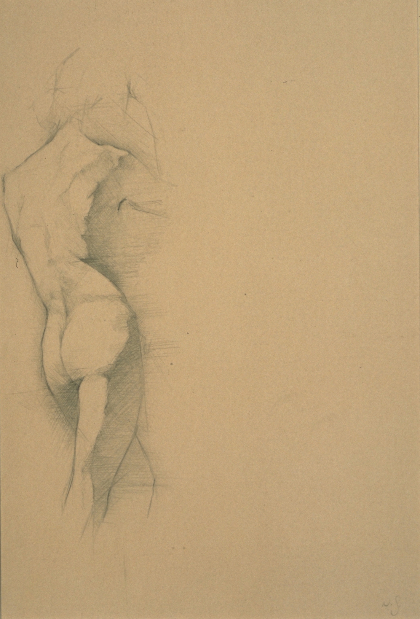 Male Nude, partial side