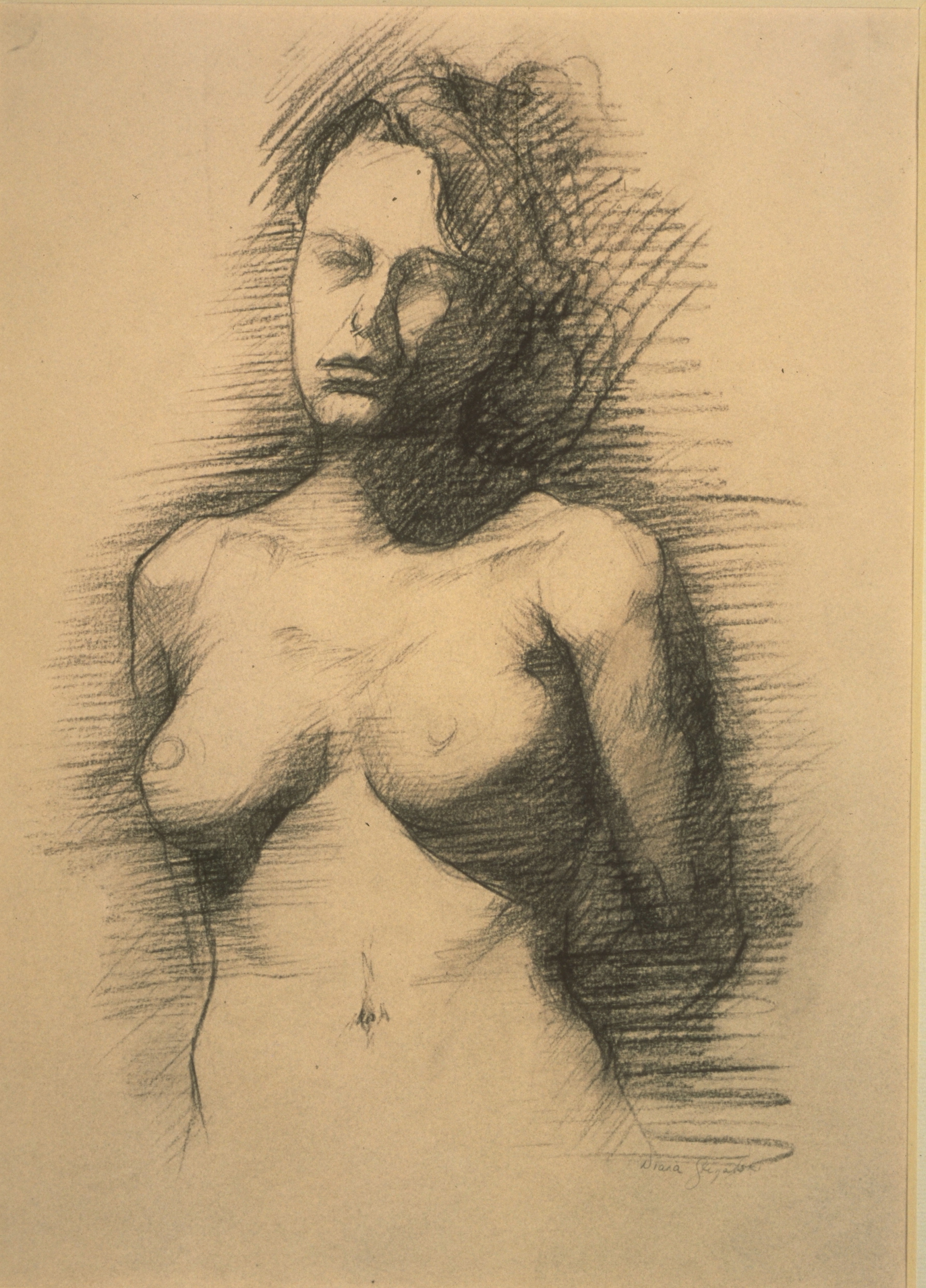 Female Nude, torso