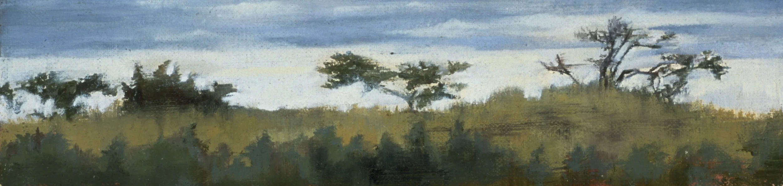 Little Horizon, Ox Bow