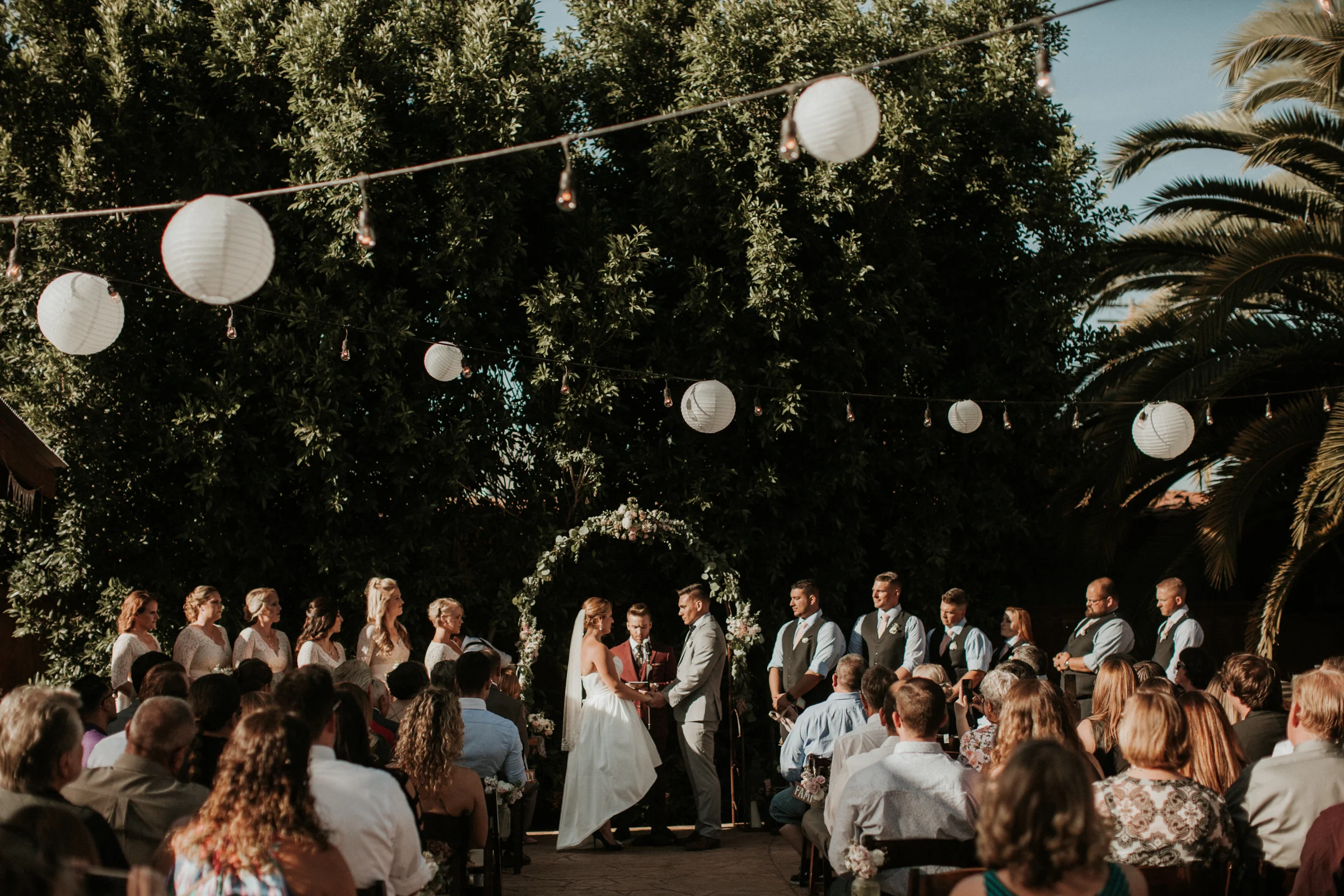 SGwed-519.jpg