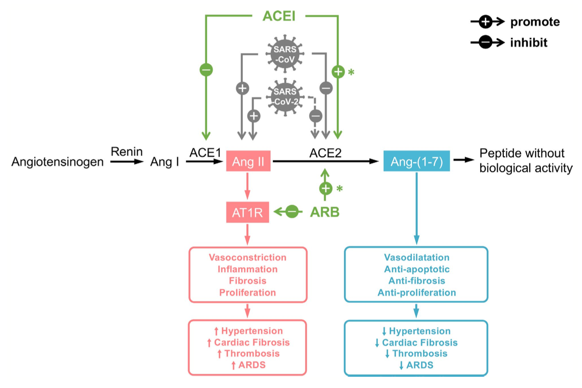 Guo et al, 2020: Coronavirus Disease 2019 (COVID‐19) and Cardiovascular Disease...