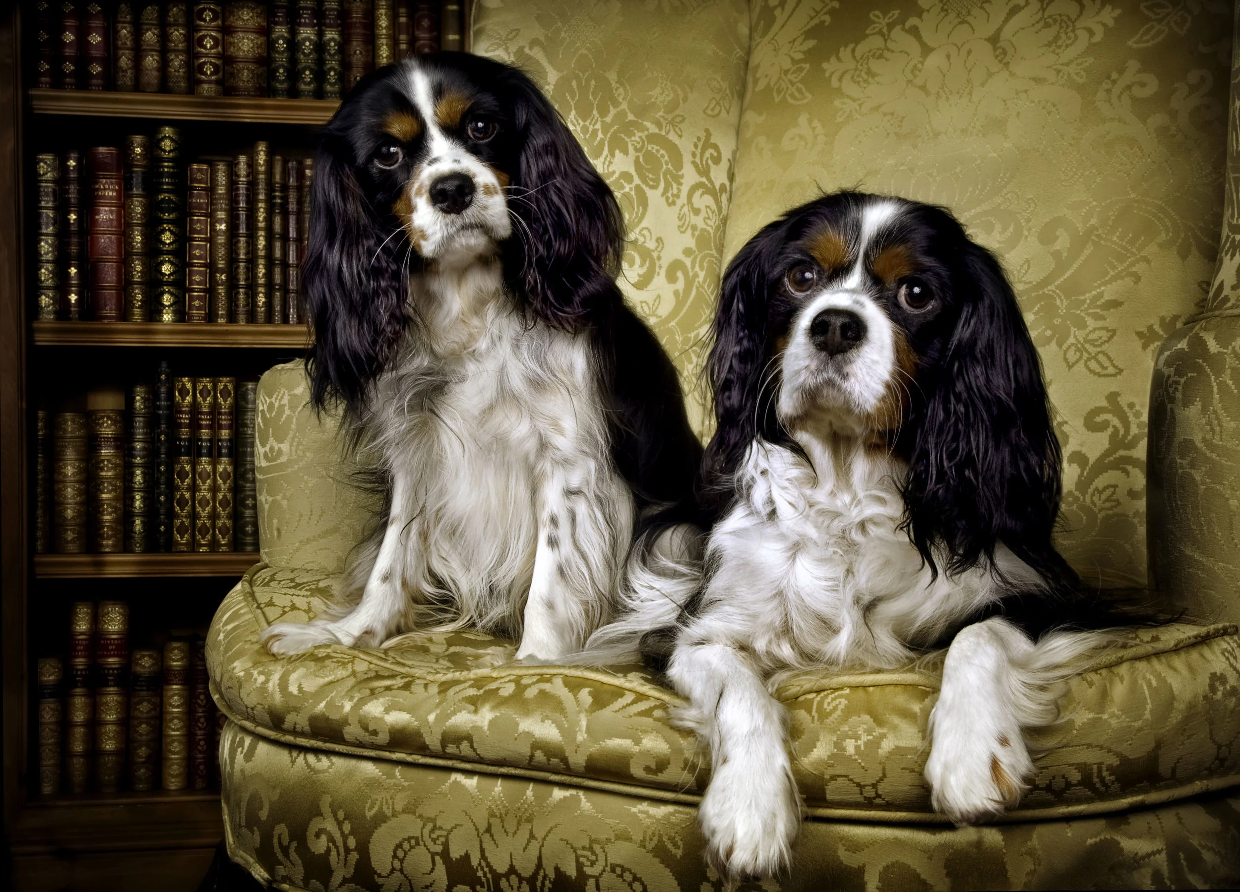 KingCharles1364-Edit.jpg
