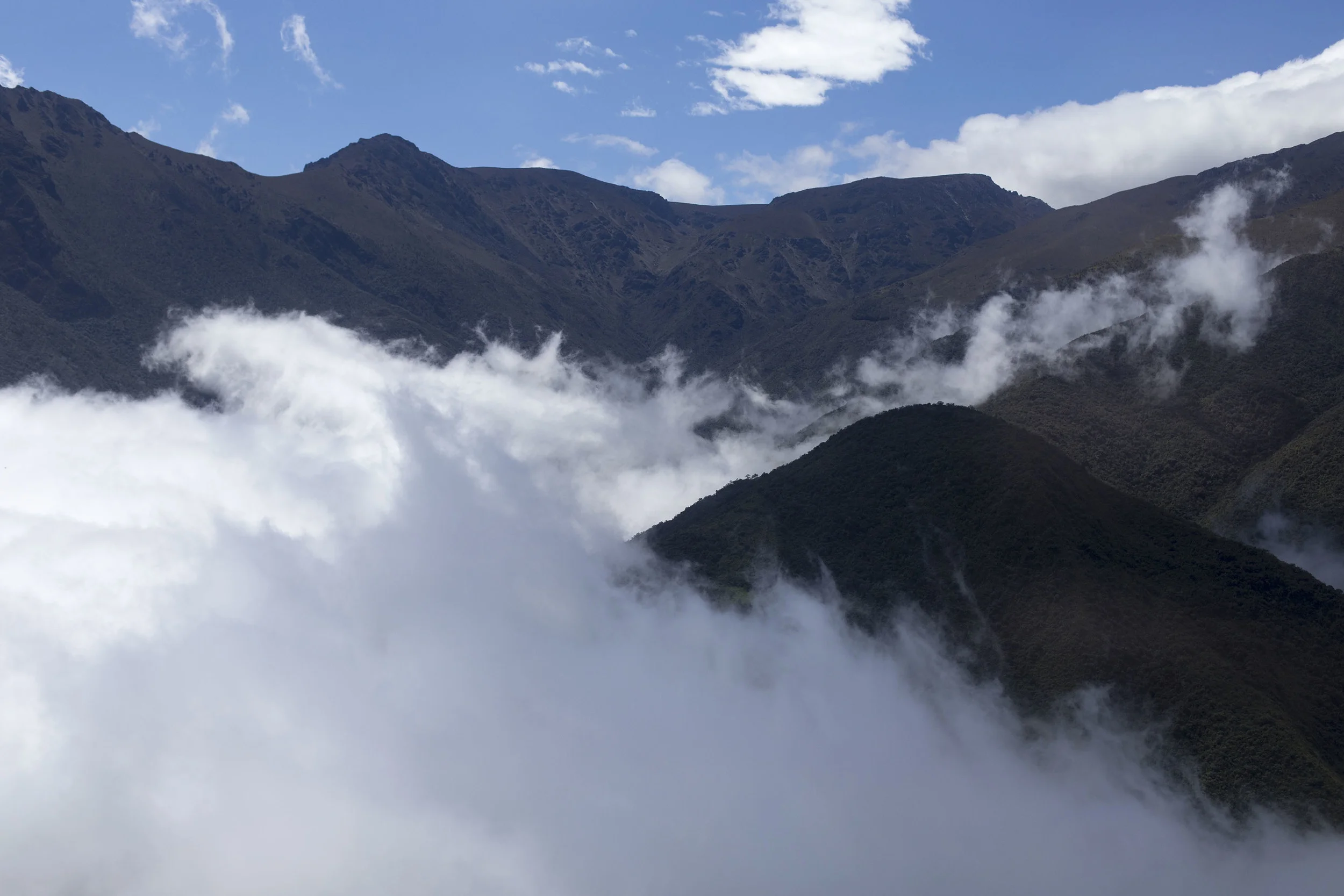 This was only about half an hour into the three-hour mountain leg of the drive. We got much, much higher above the clouds than this. 