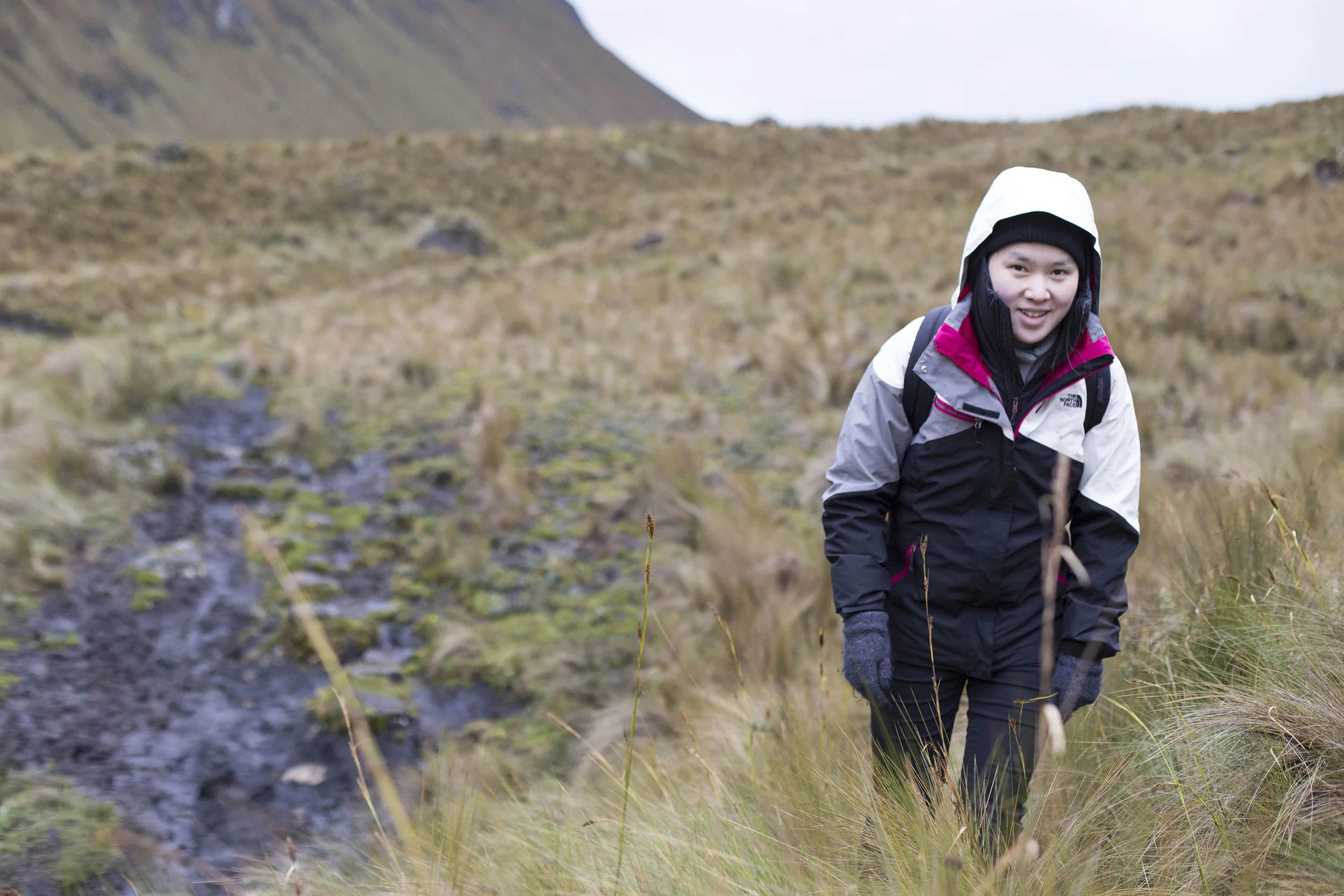 Elsa trekking through Cajas.