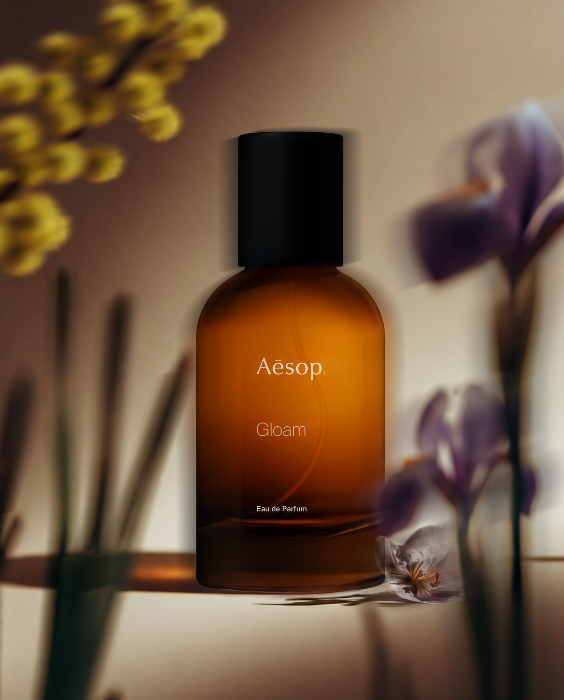 Aesop_Gloam_NBP-v3_PS-v1.png