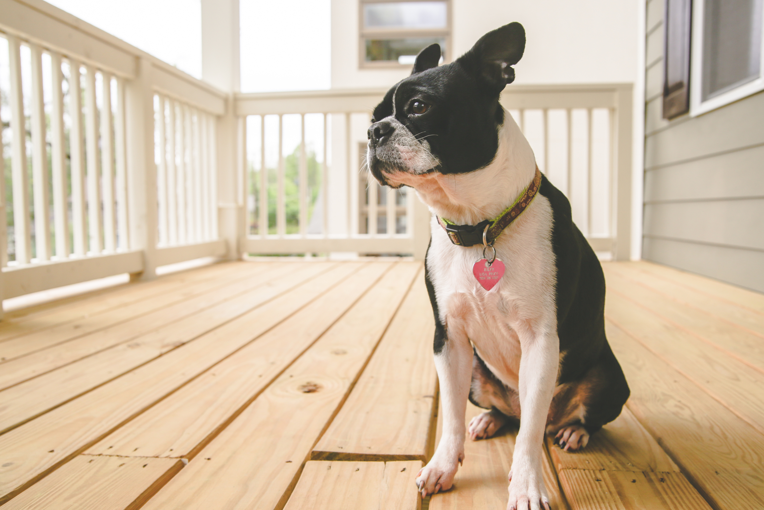 Home Photos: How to Take Better Pictures