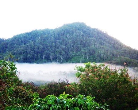 sapanminanga4.jpg