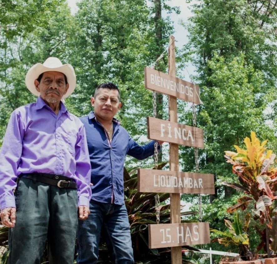 HondurasOrganicFinca.jpeg