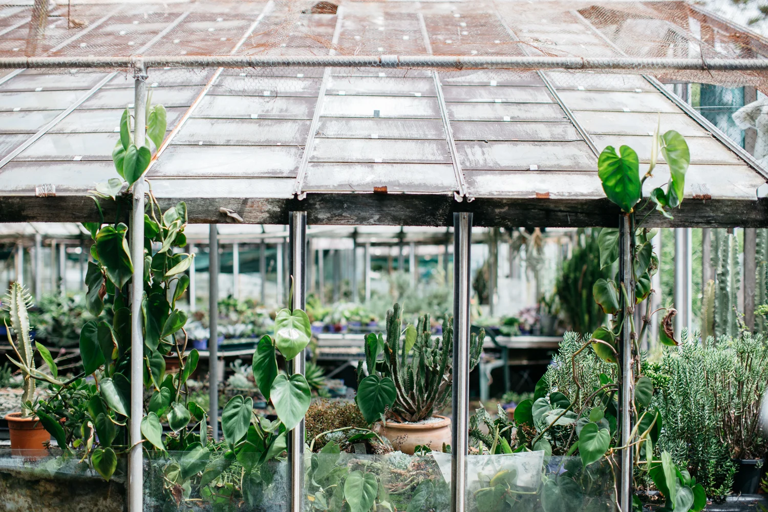 Outfit Post_Jan 29_0559.JPG