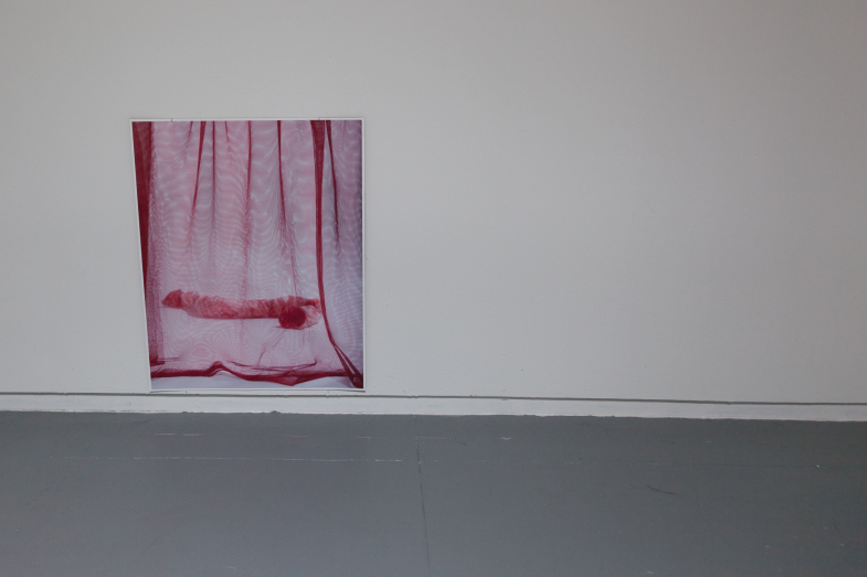 Digital Photo 26 x 32 inches 2014