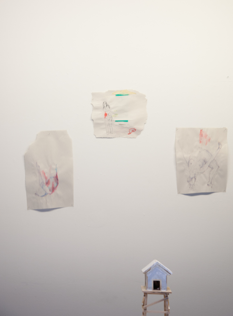 Installation view 2014