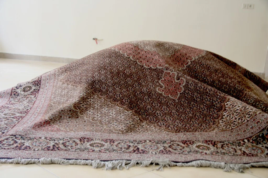 Part of the photo installation project carpet, dolls, live model 2012