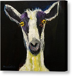 goat-gloat-diane-whitehead.jpg