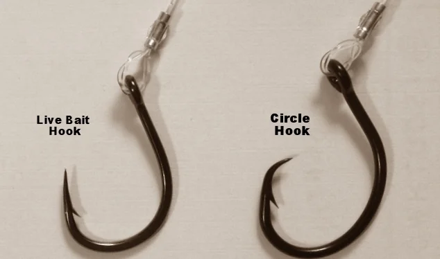 circle hook