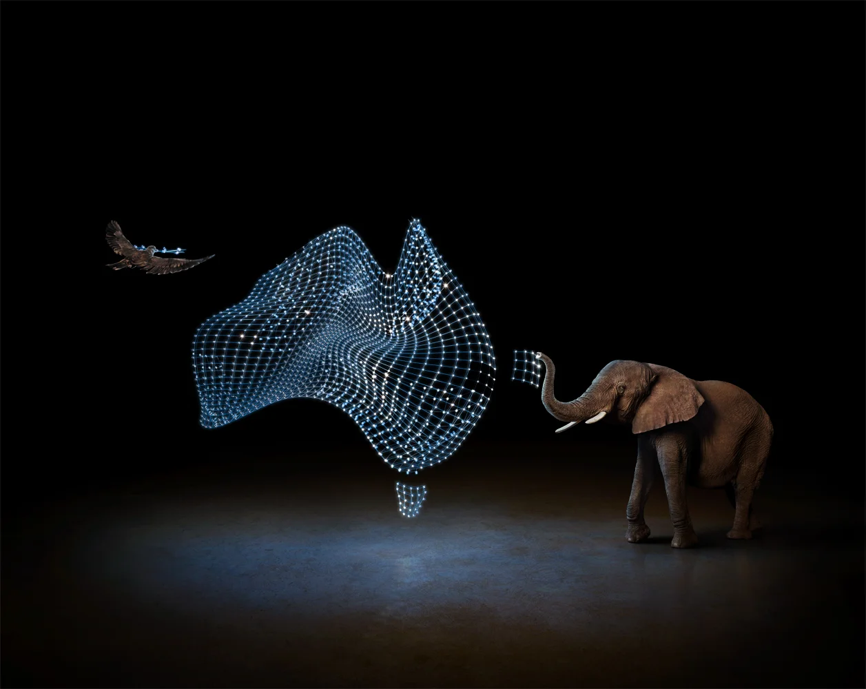electric_art_optus-light-map-elephant_sdw.jpg